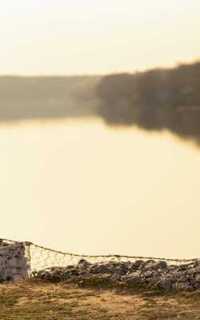 Шлюха Нелли 44955 Шлюха Нелли 44955