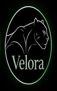 Шлюха Velora 52434