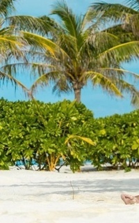 Шлюха Лика 46147